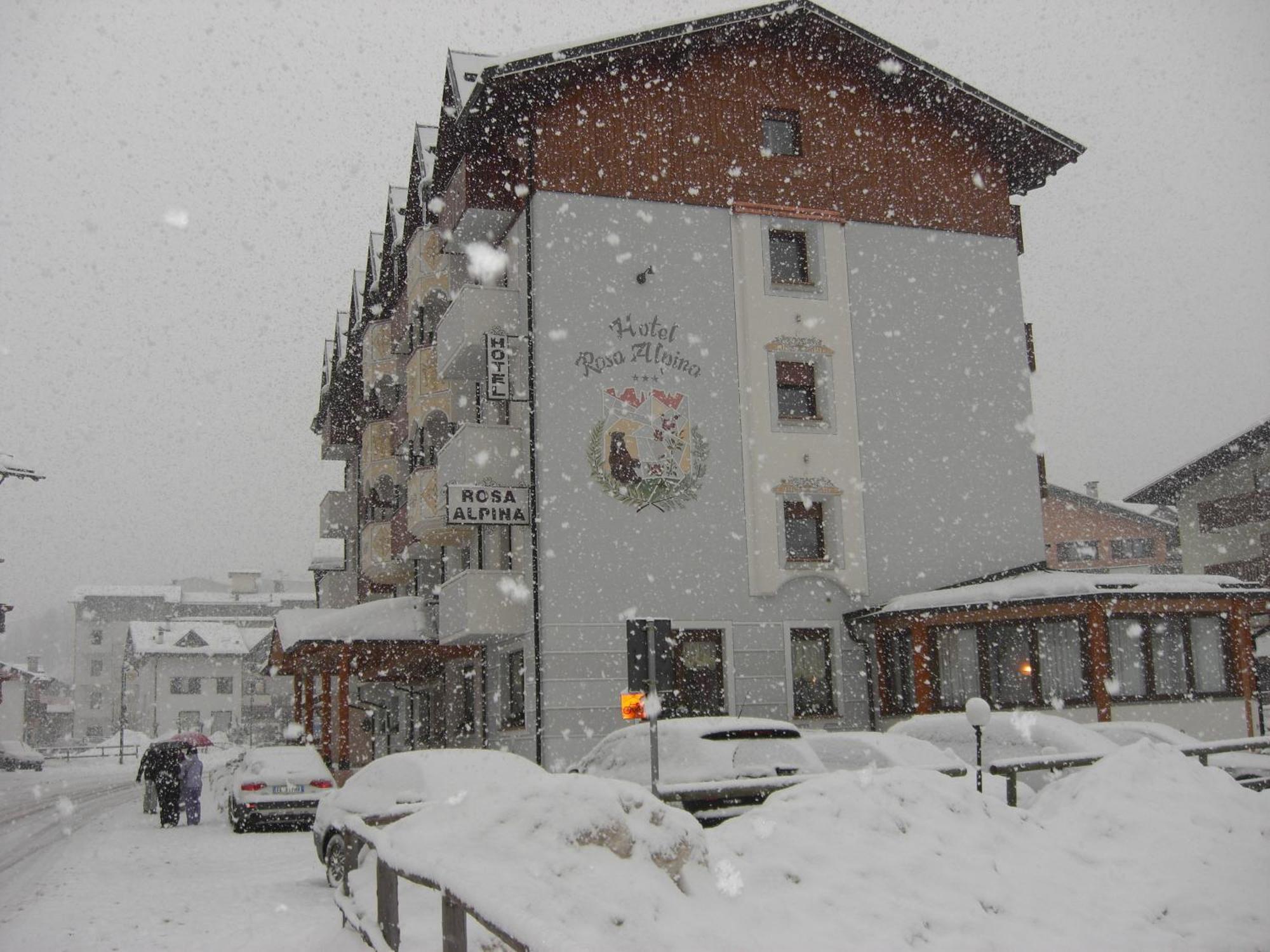 Hotel Rosa Alpina Andalo Buitenkant foto